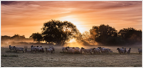 Misty Sunrise, Fladbury