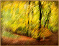 Impressions of Autumn