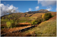 Autumn Shades, Loch Spelve