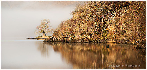 Golden Stillness, Loch Arienas 1
