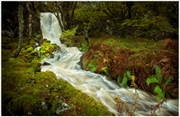 Autumn Falls near Croggan, Isle of Mull