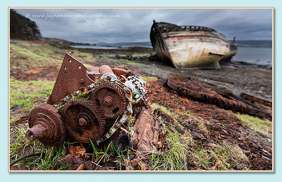 Environmental - Decay along the Shoreline